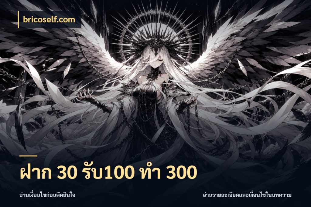 ฝาก 30 รับ100 ทำ 300
