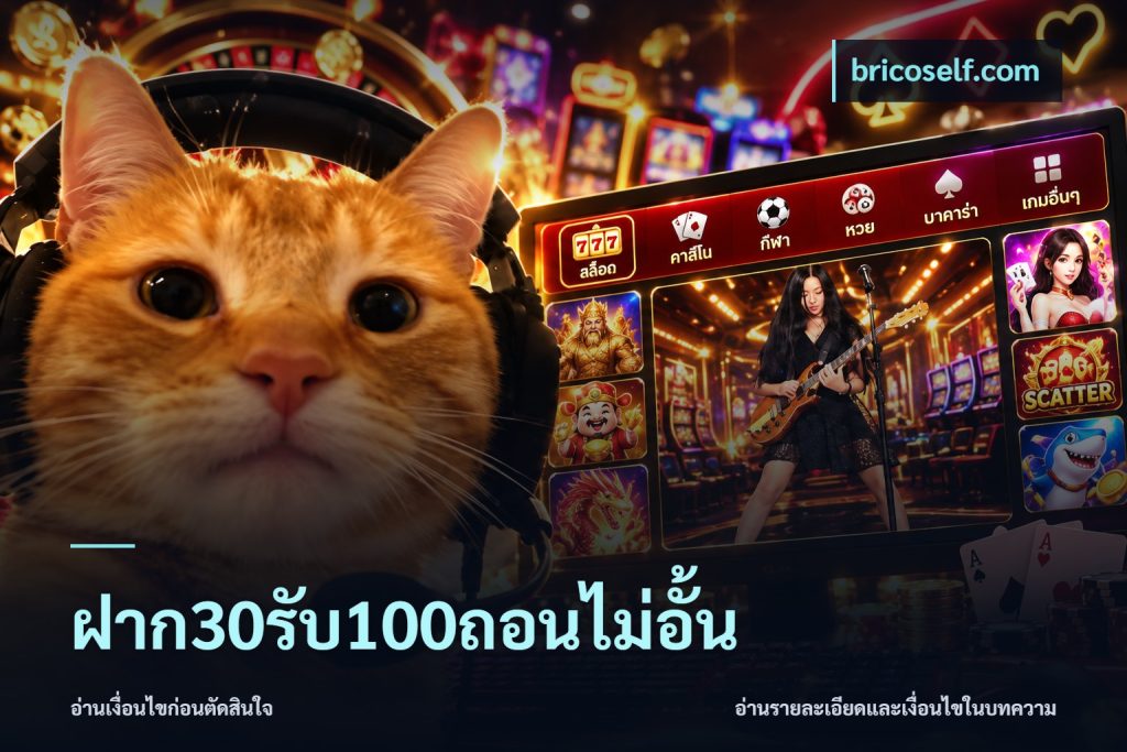 ฝาก30รับ100ถอนไม่อั้น